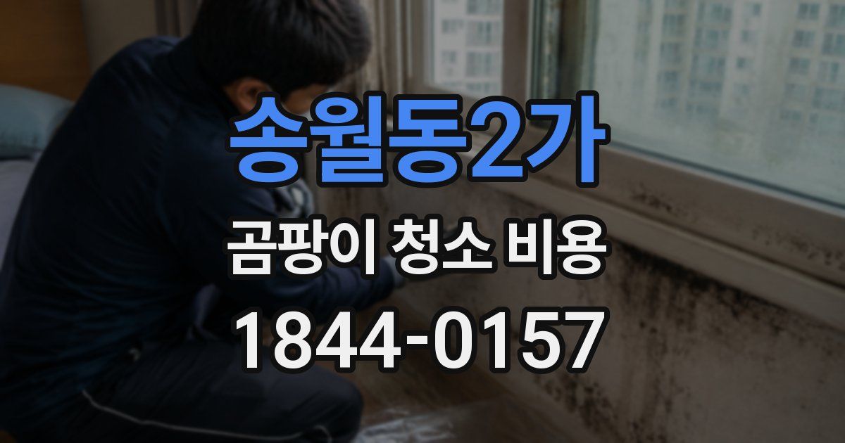 송월동2가 곰팡이 청소 비용