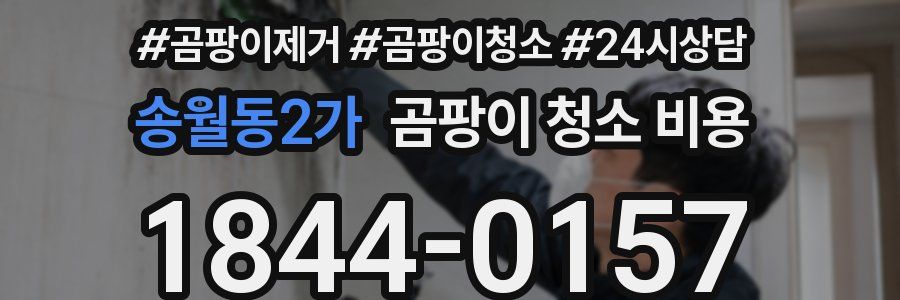 송월동2가 곰팡이 청소 비용