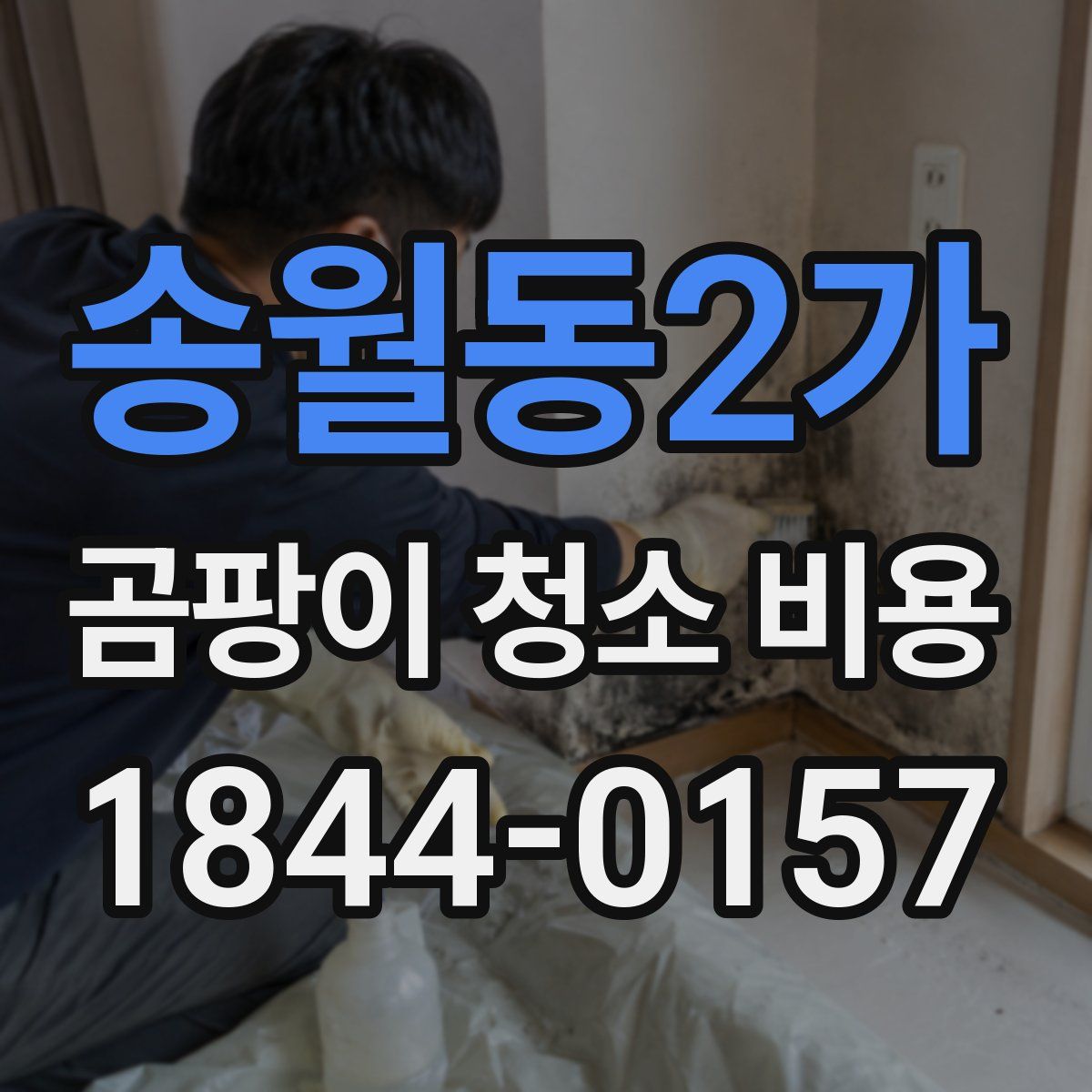 송월동2가 곰팡이 청소 비용