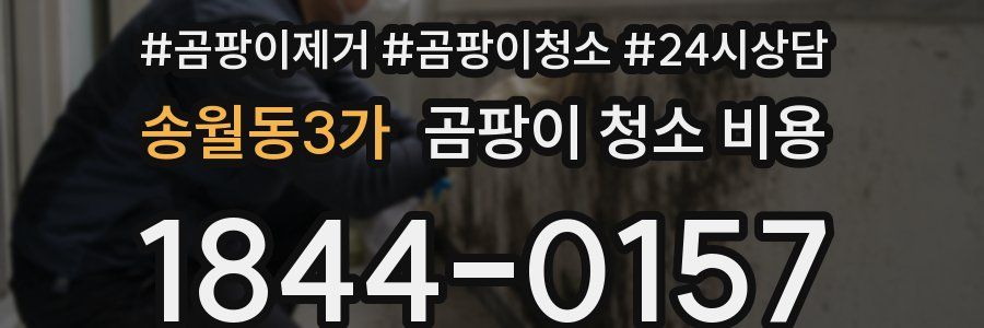 송월동3가 곰팡이 청소 비용