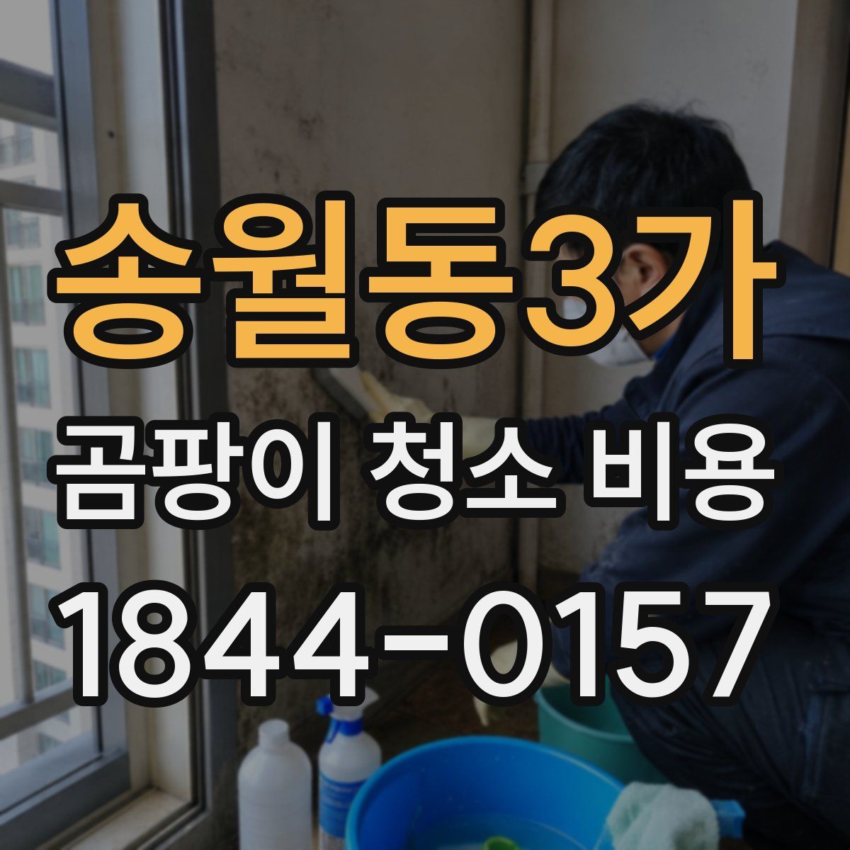 송월동3가 곰팡이 청소 비용