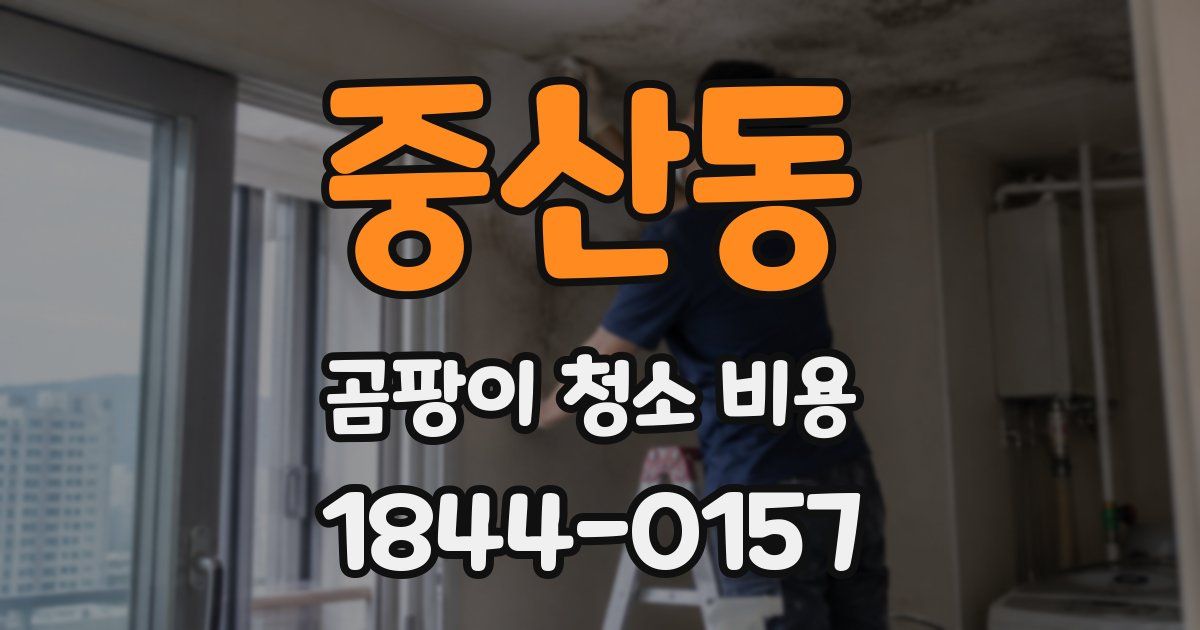 중산동 곰팡이 청소 비용
