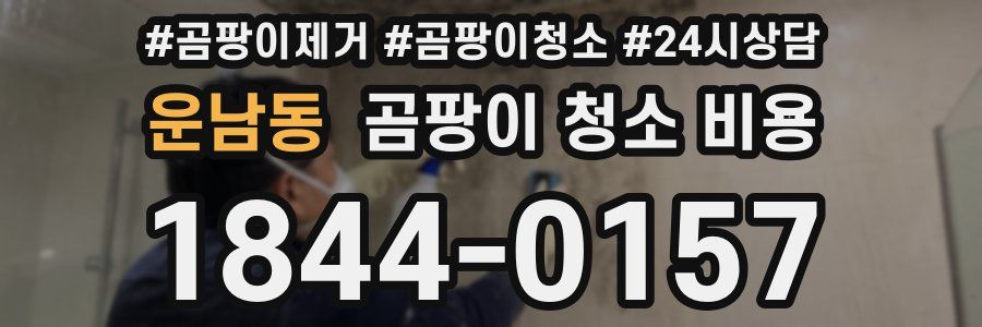 운남동 곰팡이 청소 비용