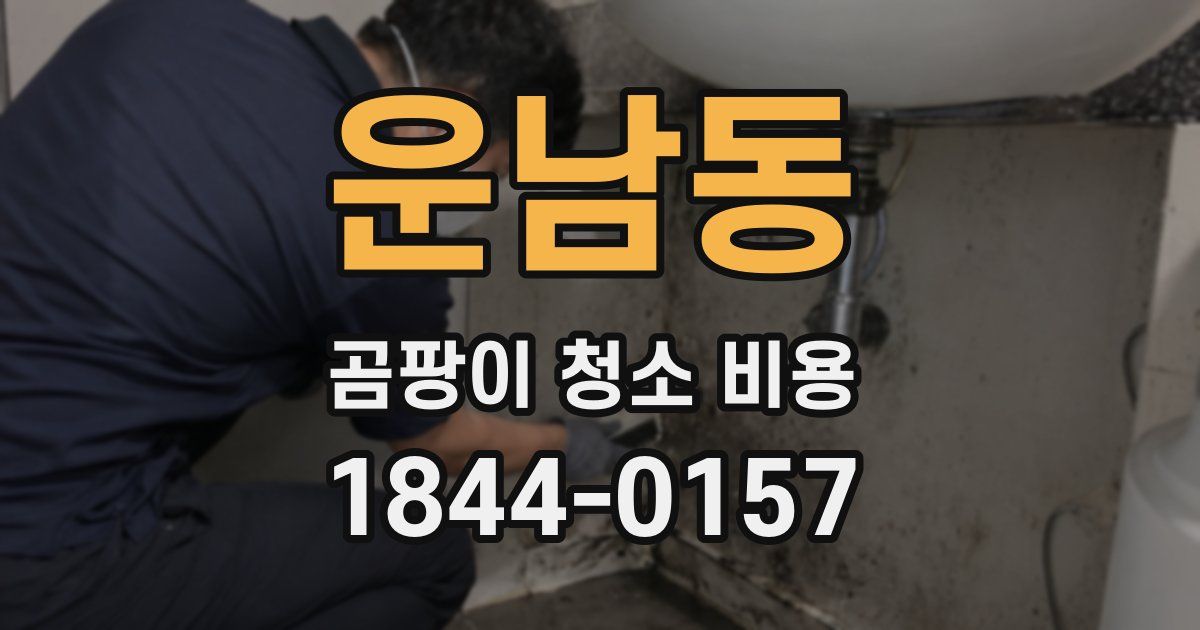운남동 곰팡이 청소 비용