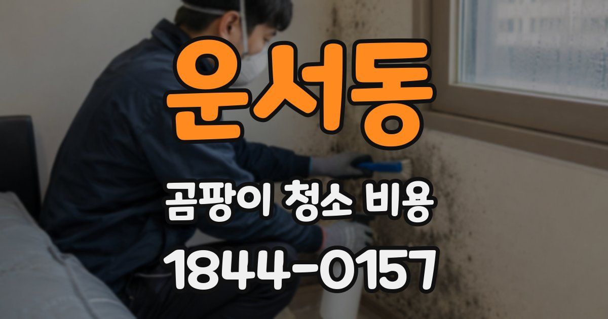 운서동 곰팡이 청소 비용