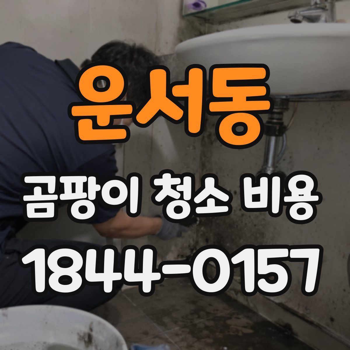 운서동 곰팡이 청소 비용