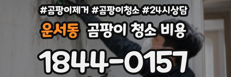 운서동 곰팡이 청소 비용