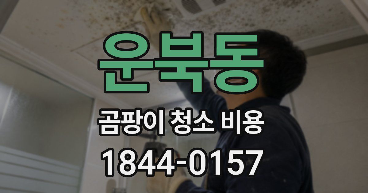 운북동 곰팡이 청소 비용