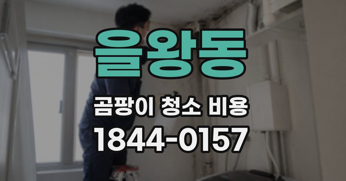 을왕동 곰팡이 청소 비용