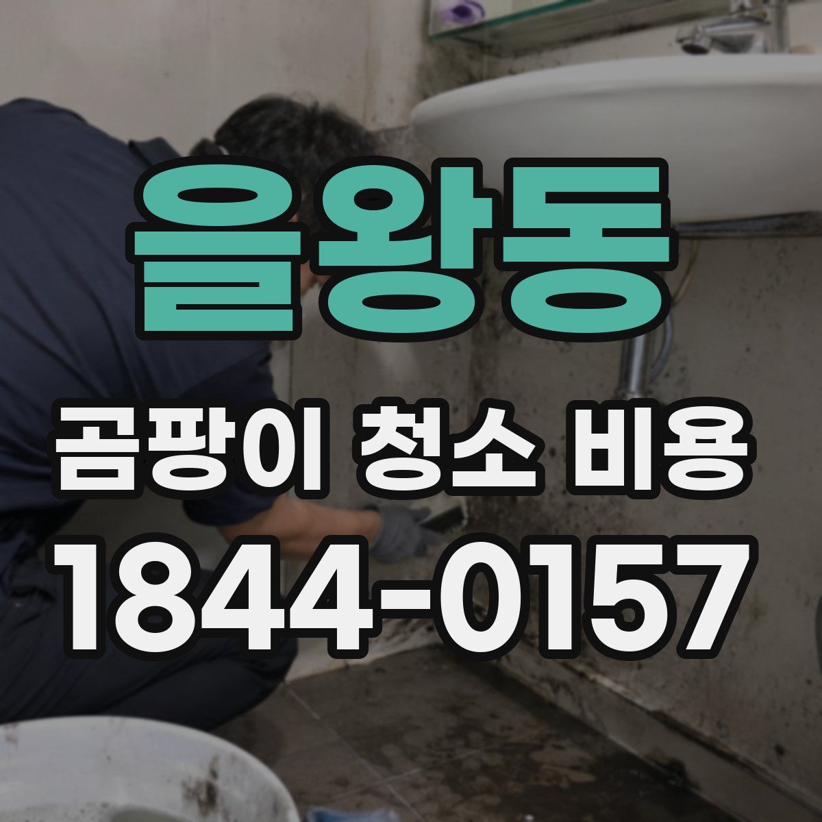 을왕동 곰팡이 청소 비용