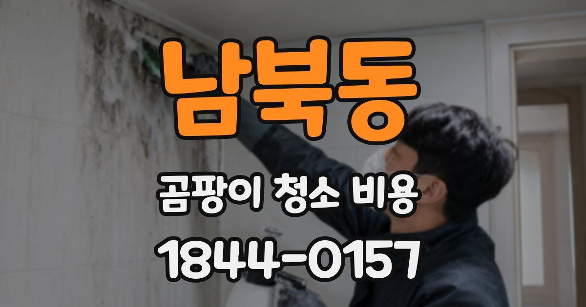 남북동 곰팡이 청소 비용