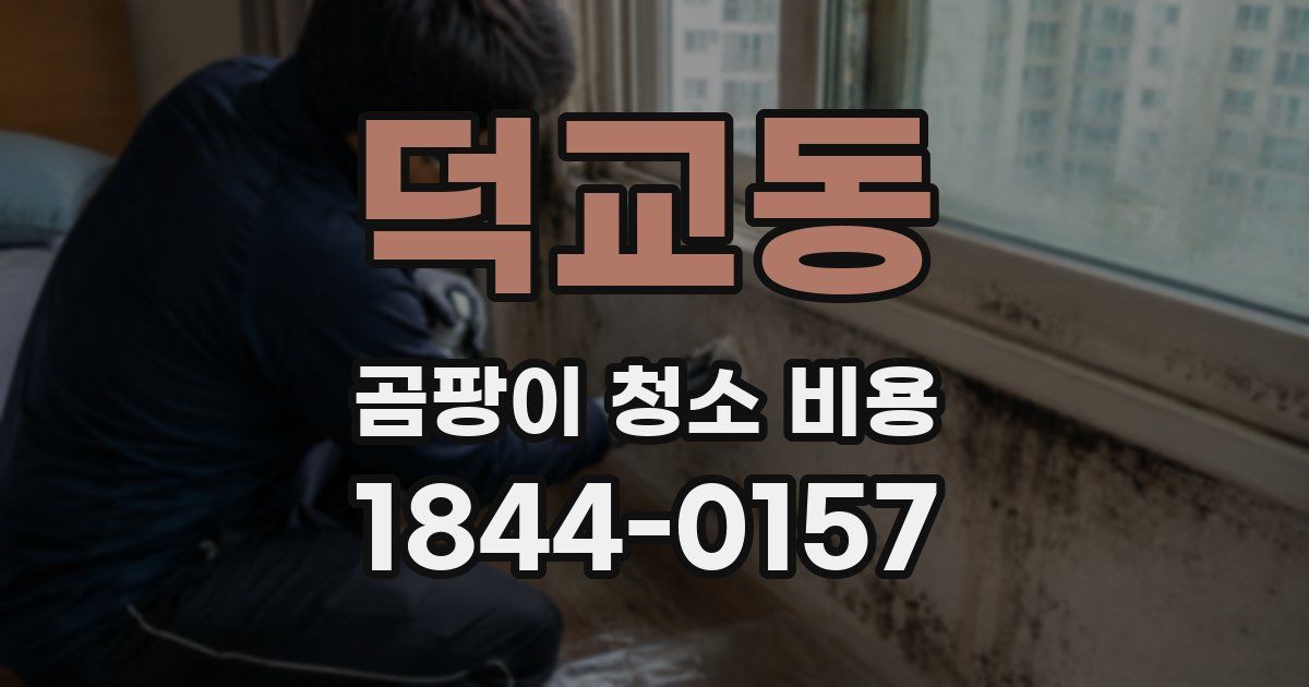 덕교동 곰팡이 청소 비용