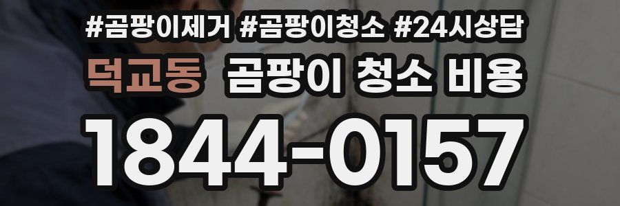 덕교동 곰팡이 청소 비용