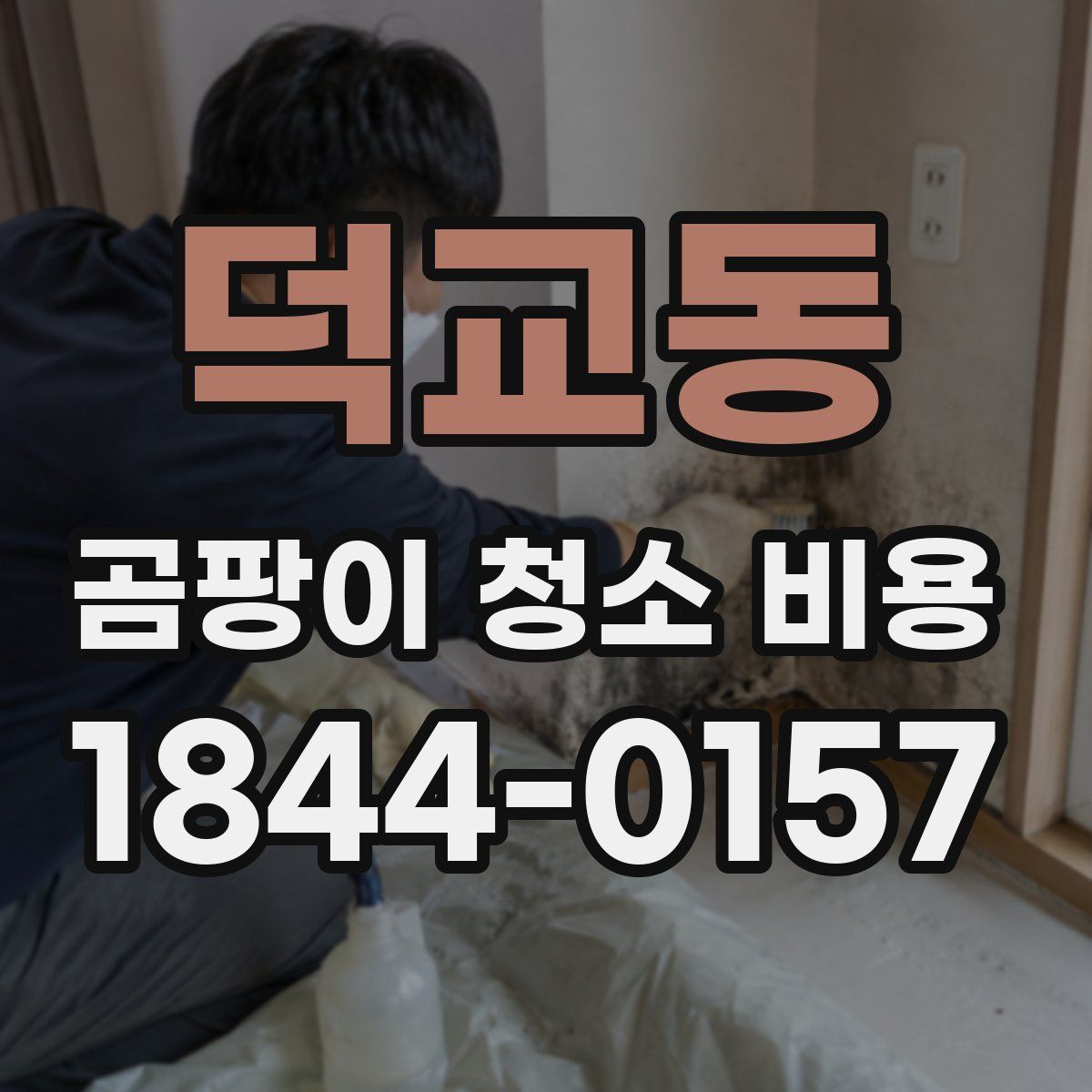 덕교동 곰팡이 청소 비용