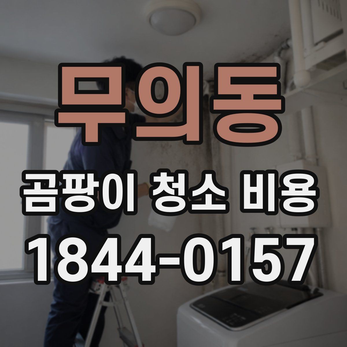 무의동 곰팡이 청소 비용 부분 청소와 전체 작업 범위