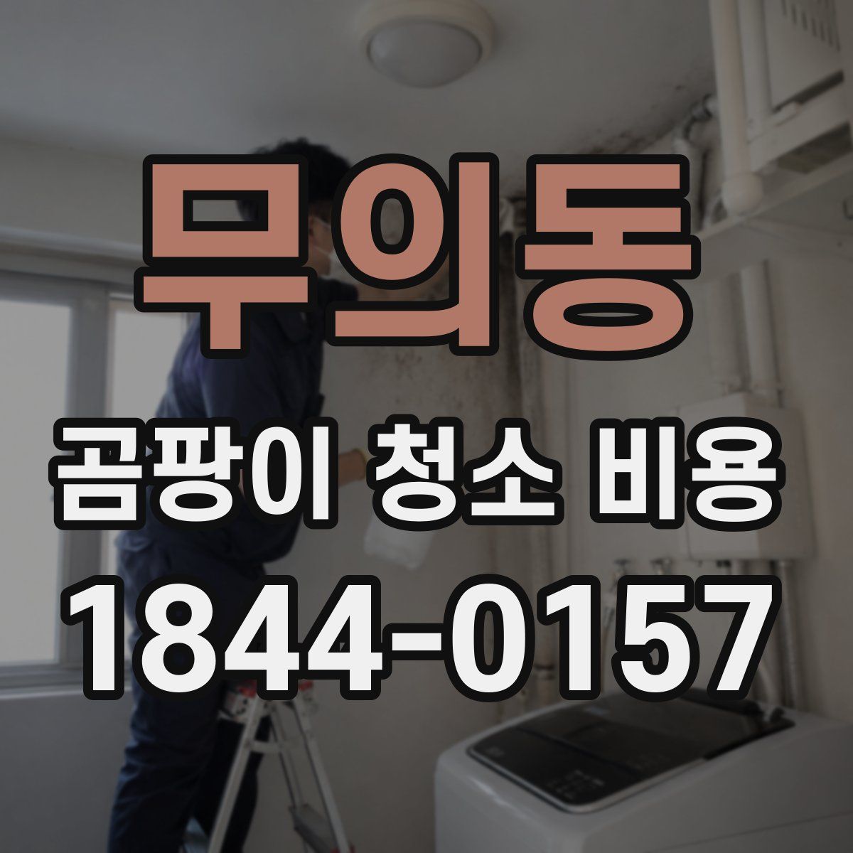 무의동 곰팡이 청소 비용