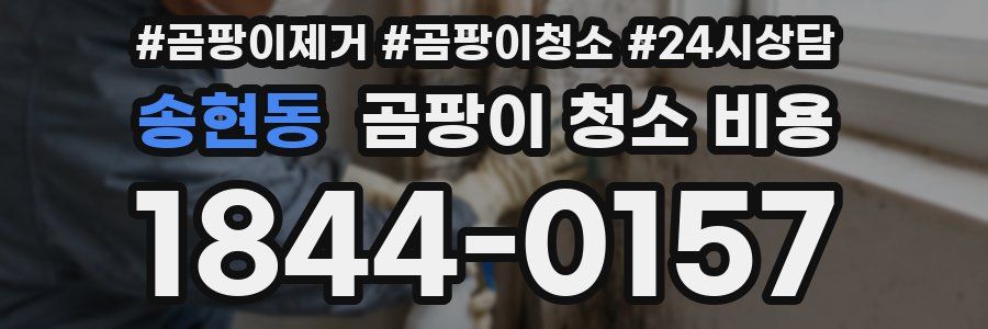 송현동 곰팡이 청소 비용