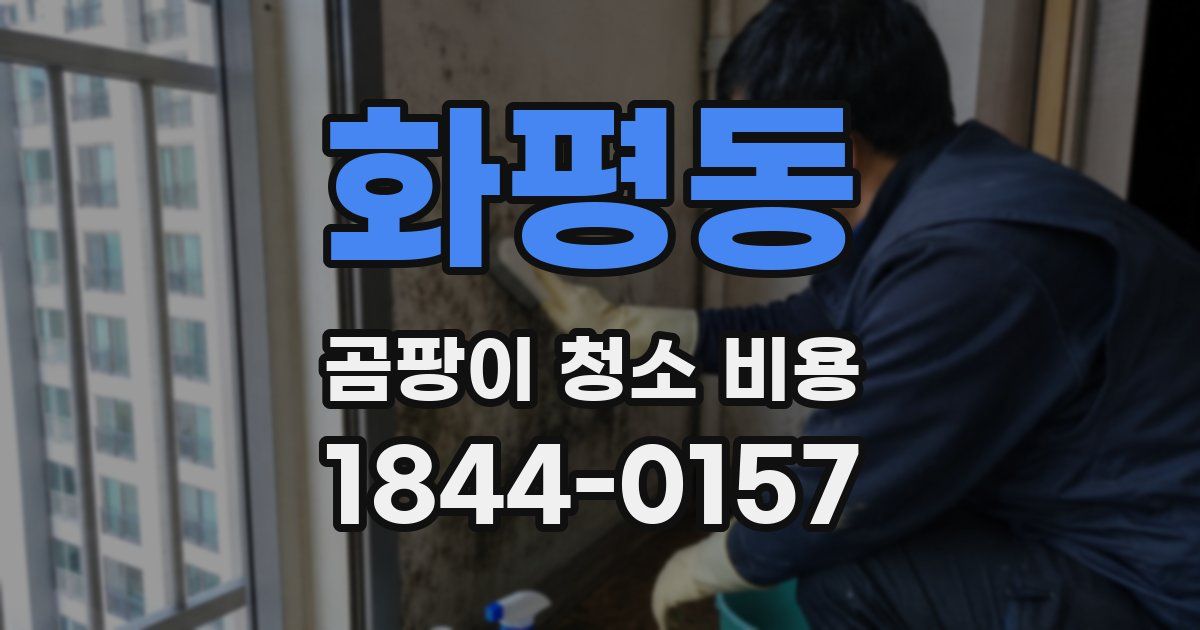 화평동 곰팡이 청소 비용