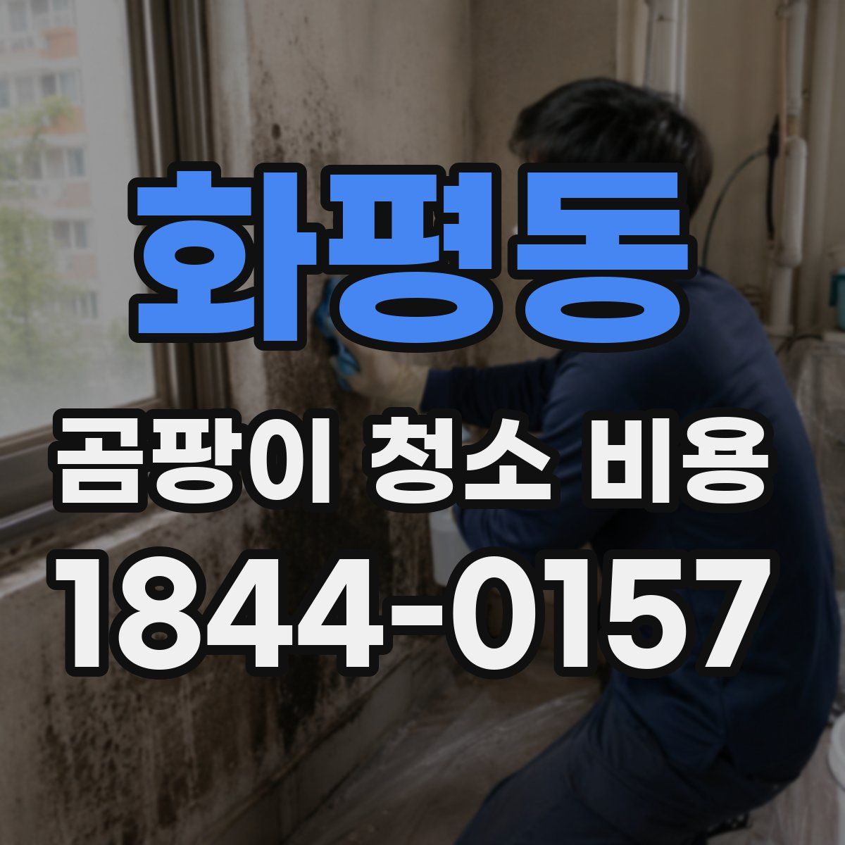 화평동 곰팡이 청소 비용