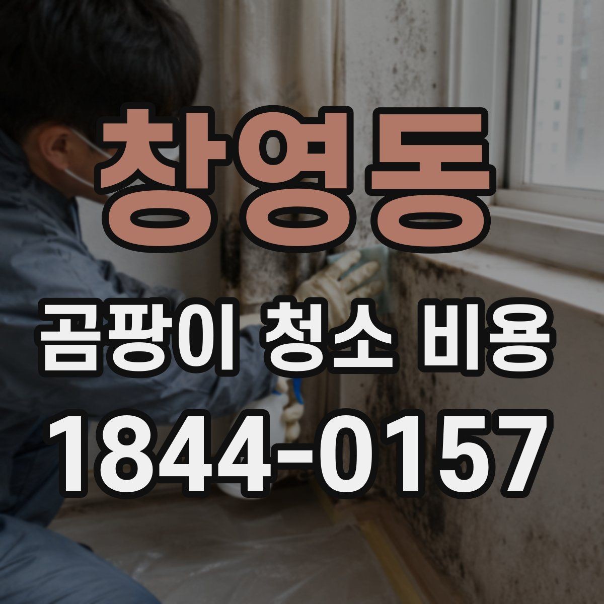 창영동 곰팡이 청소 비용 약품 선택이 결과에 미치는 영향