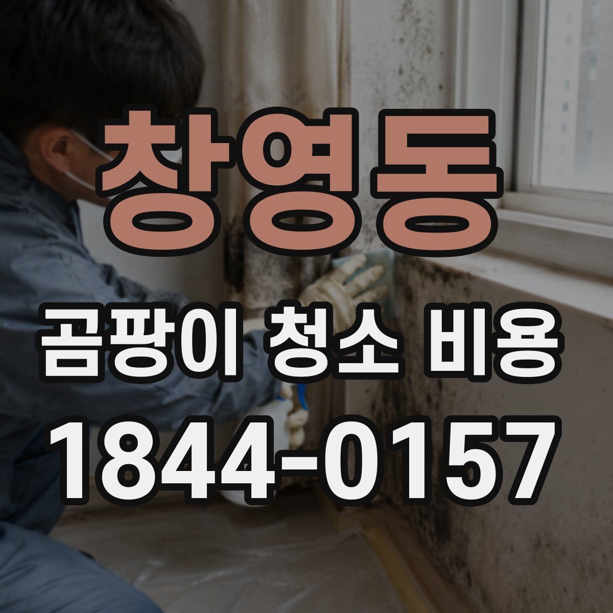 창영동 곰팡이 청소 비용