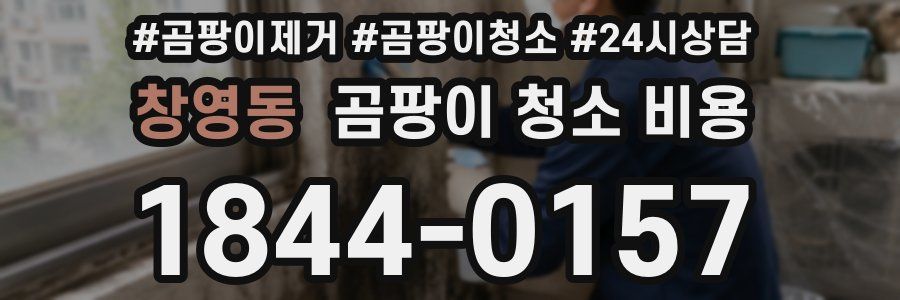 창영동 곰팡이 청소 비용