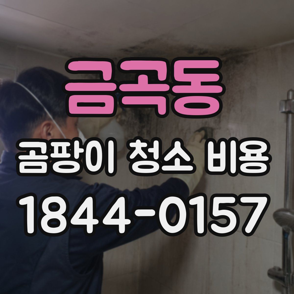 금곡동 곰팡이 청소 비용