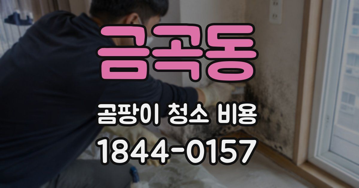 금곡동 곰팡이 청소 비용
