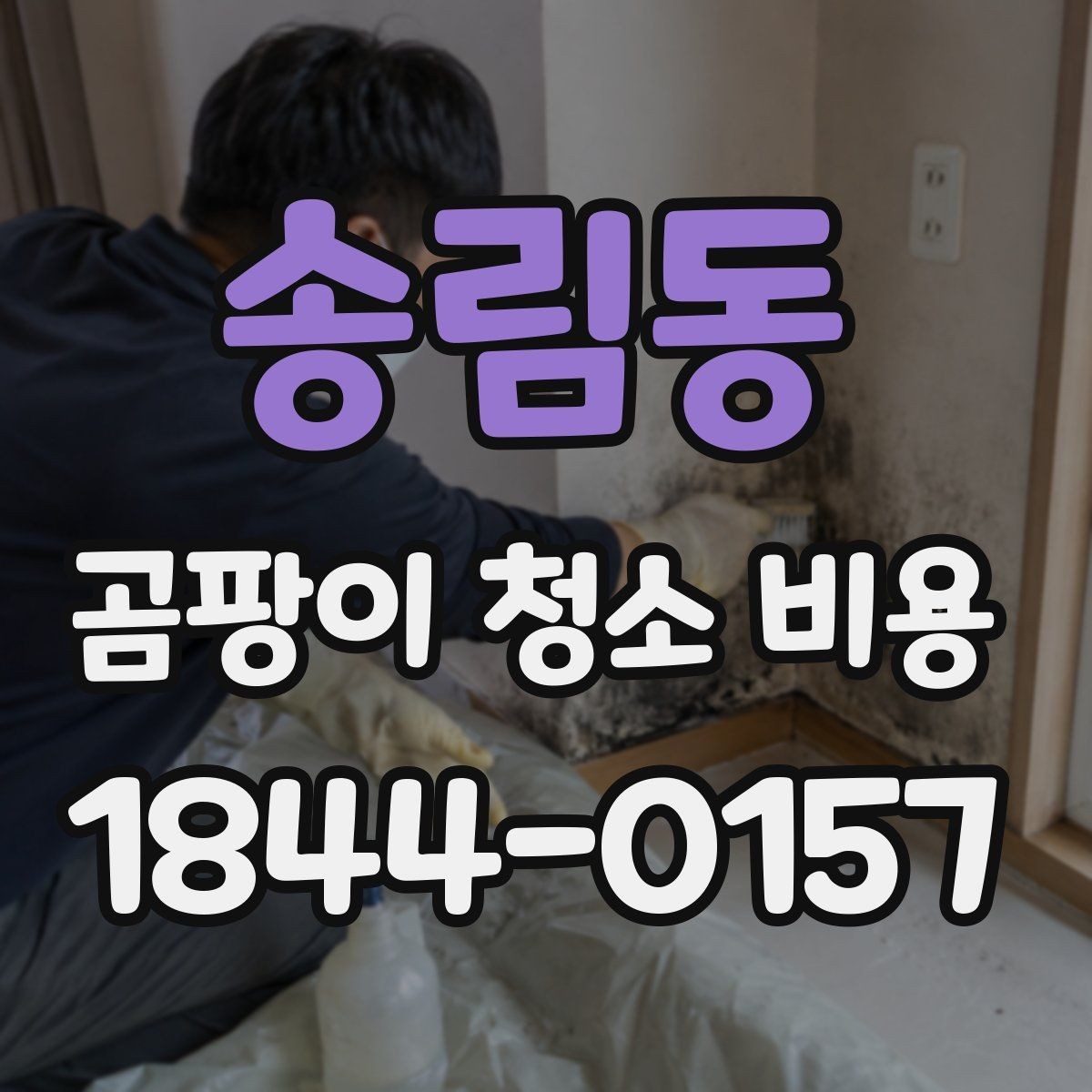 송림동 곰팡이 청소 비용 결로 원인까지 함께 점검하는 기준