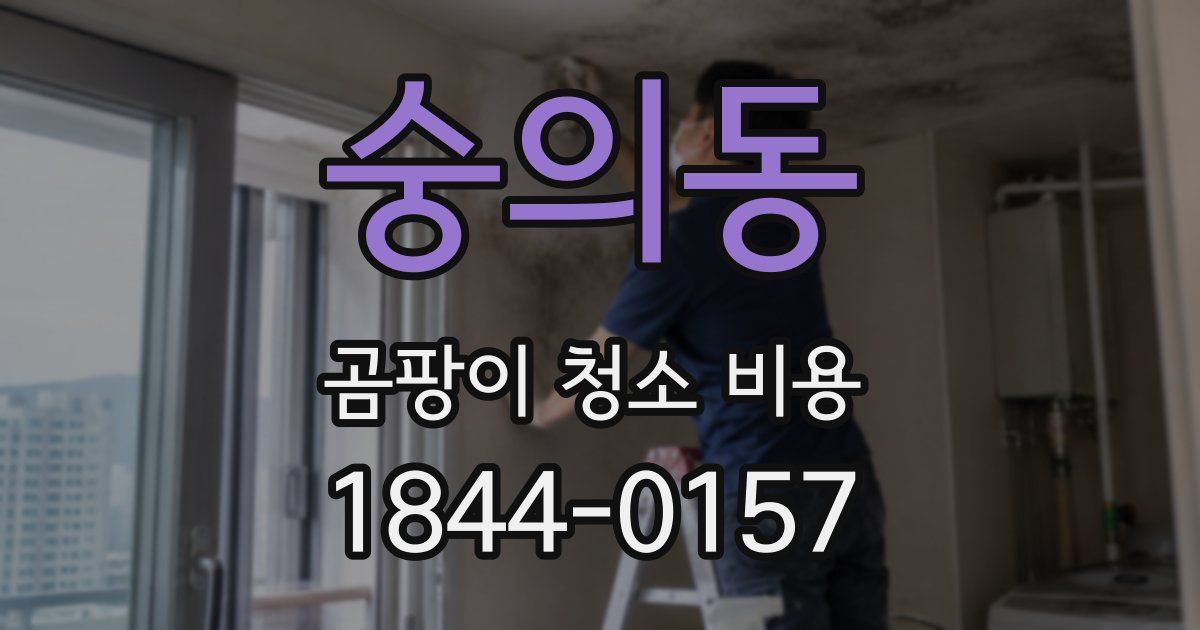 숭의동 곰팡이 청소 비용
