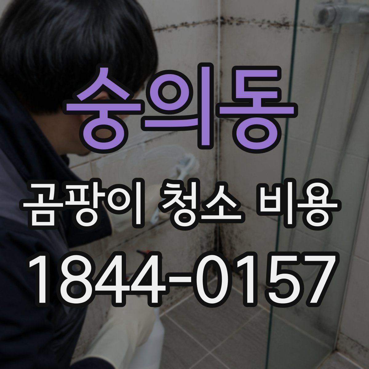 숭의동 곰팡이 청소 비용