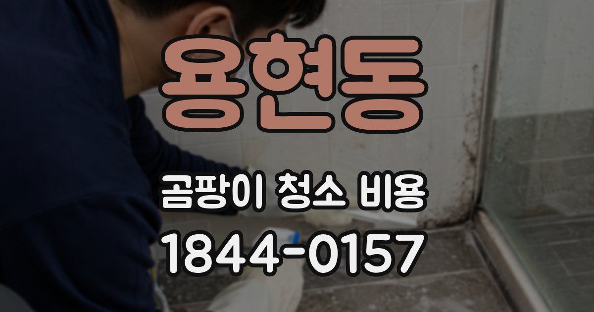 용현동 곰팡이 청소 비용