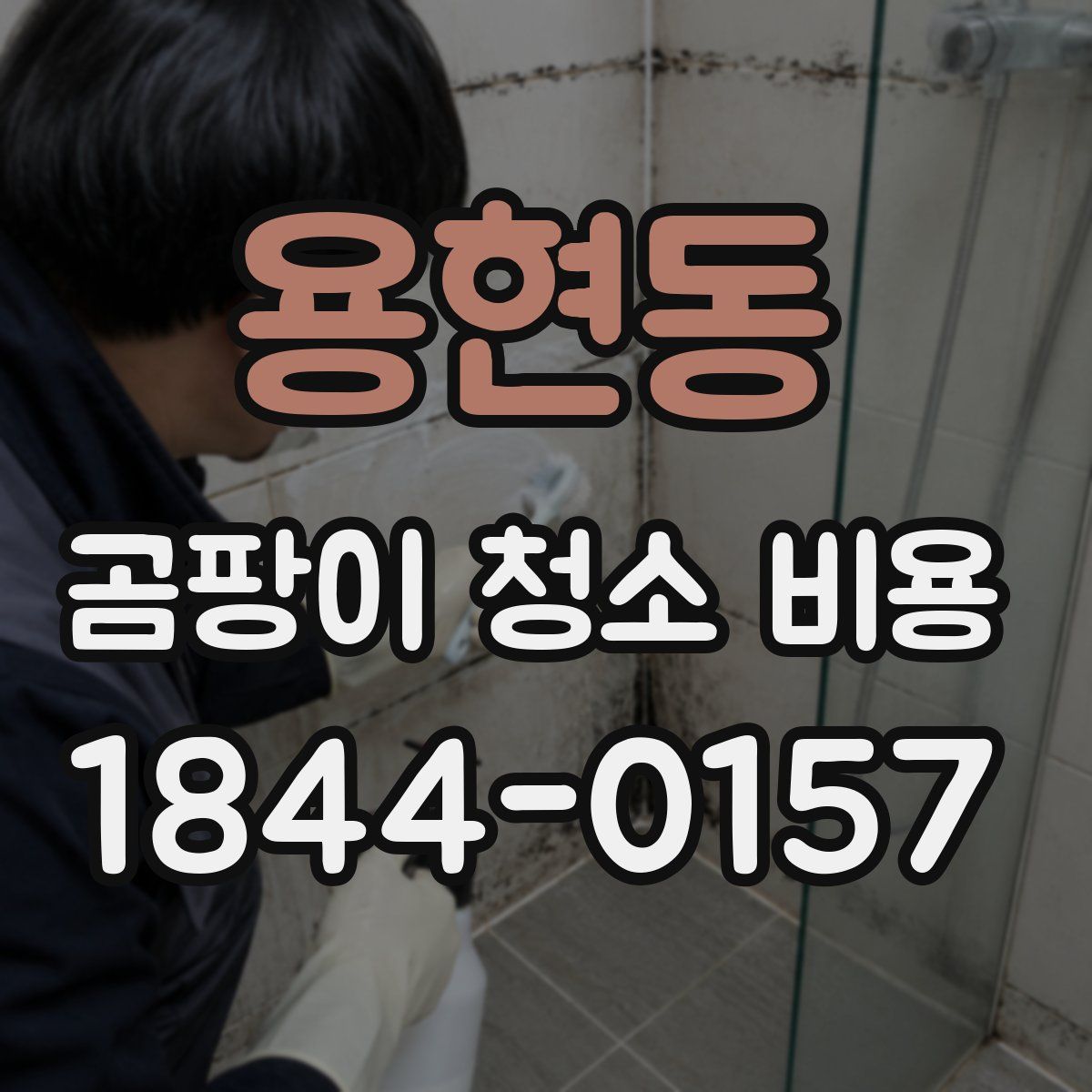용현동 곰팡이 청소 비용
