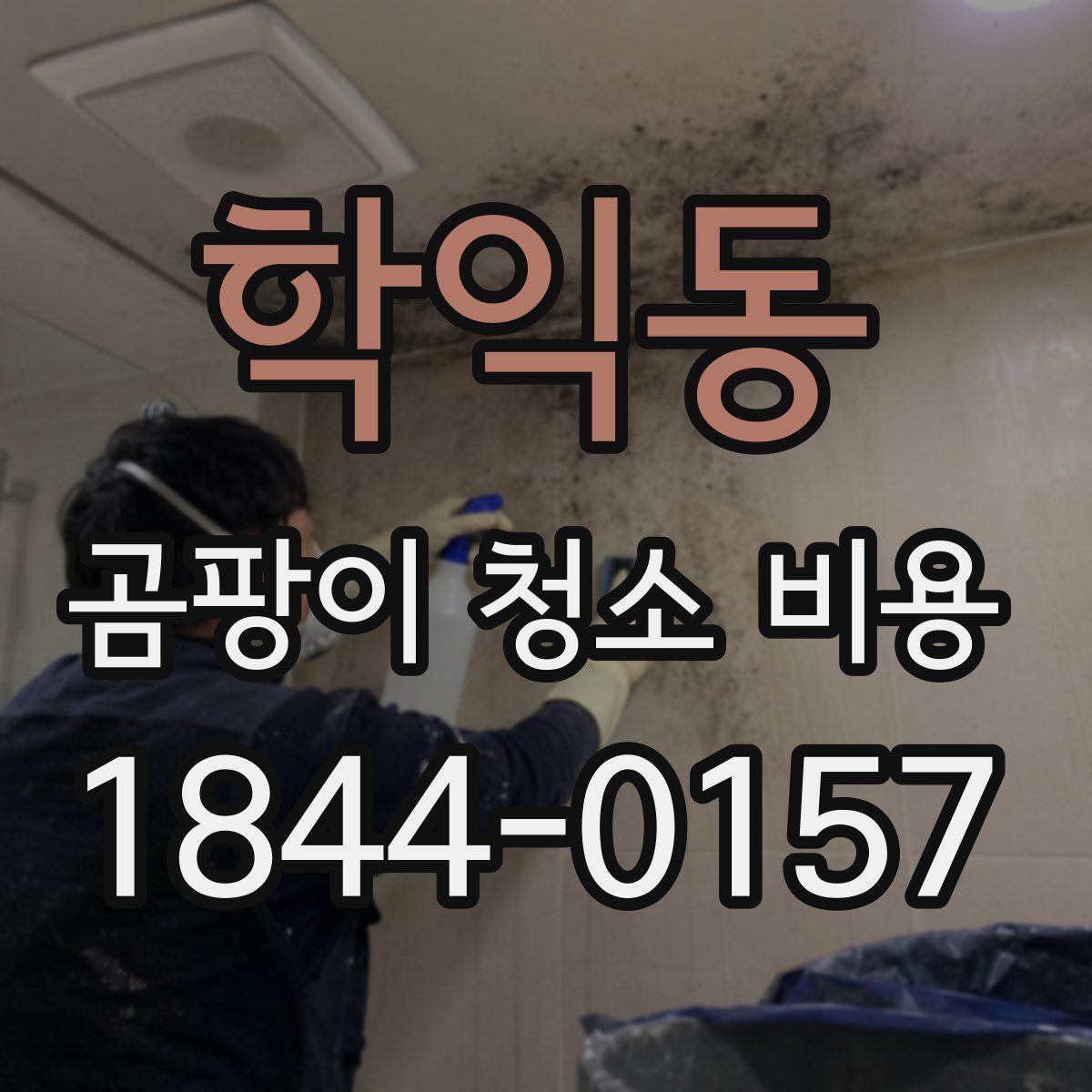 학익동 곰팡이 청소 비용