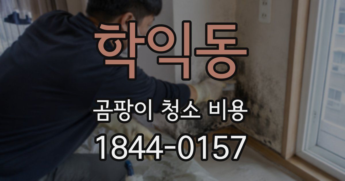 학익동 곰팡이 청소 비용