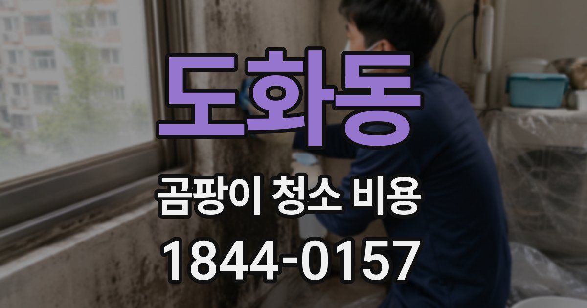 도화동 곰팡이 청소 비용