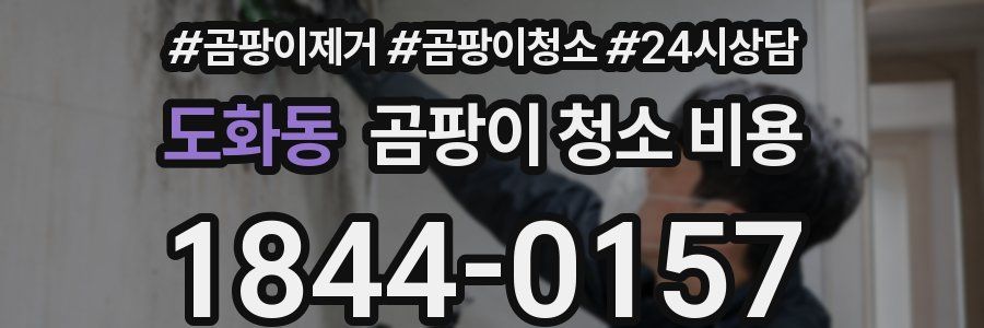 도화동 곰팡이 청소 비용