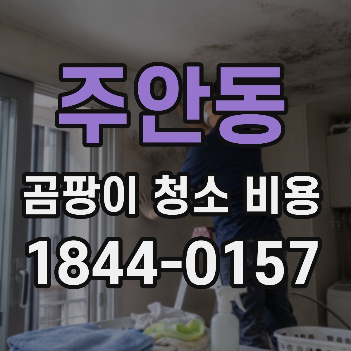 주안동 곰팡이 청소 비용