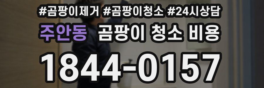 주안동 곰팡이 청소 비용