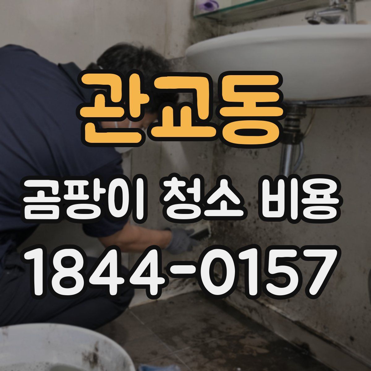 관교동 곰팡이 청소 비용