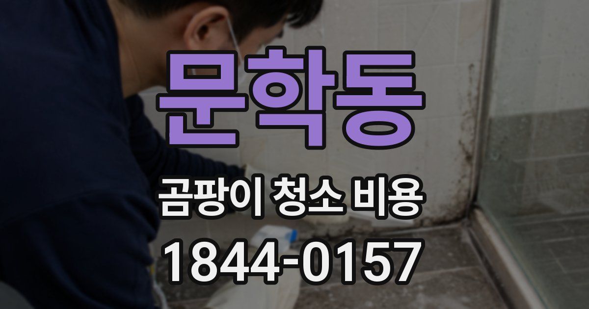 문학동 곰팡이 청소 비용