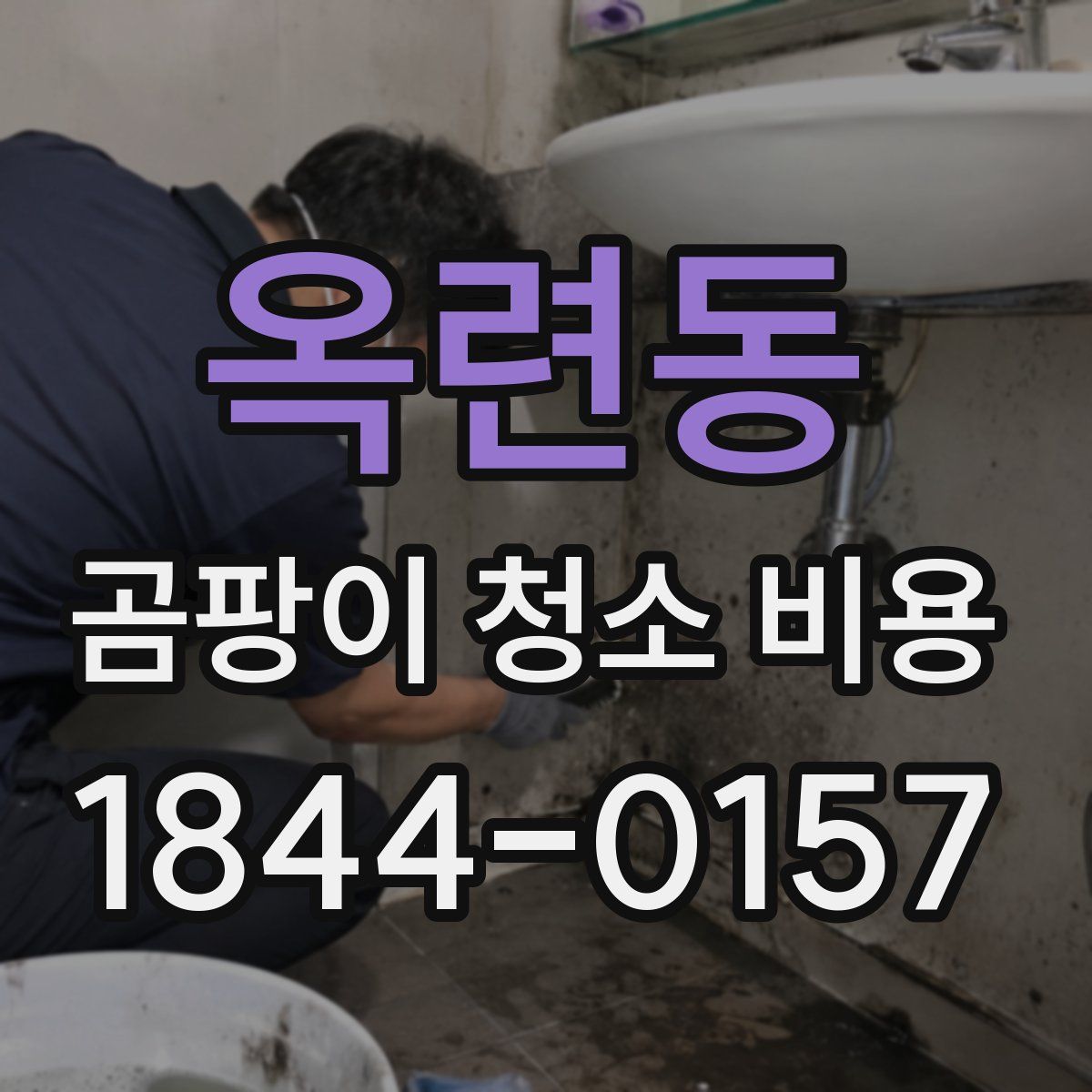옥련동 곰팡이 청소 비용