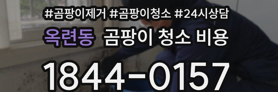 옥련동 곰팡이 청소 비용
