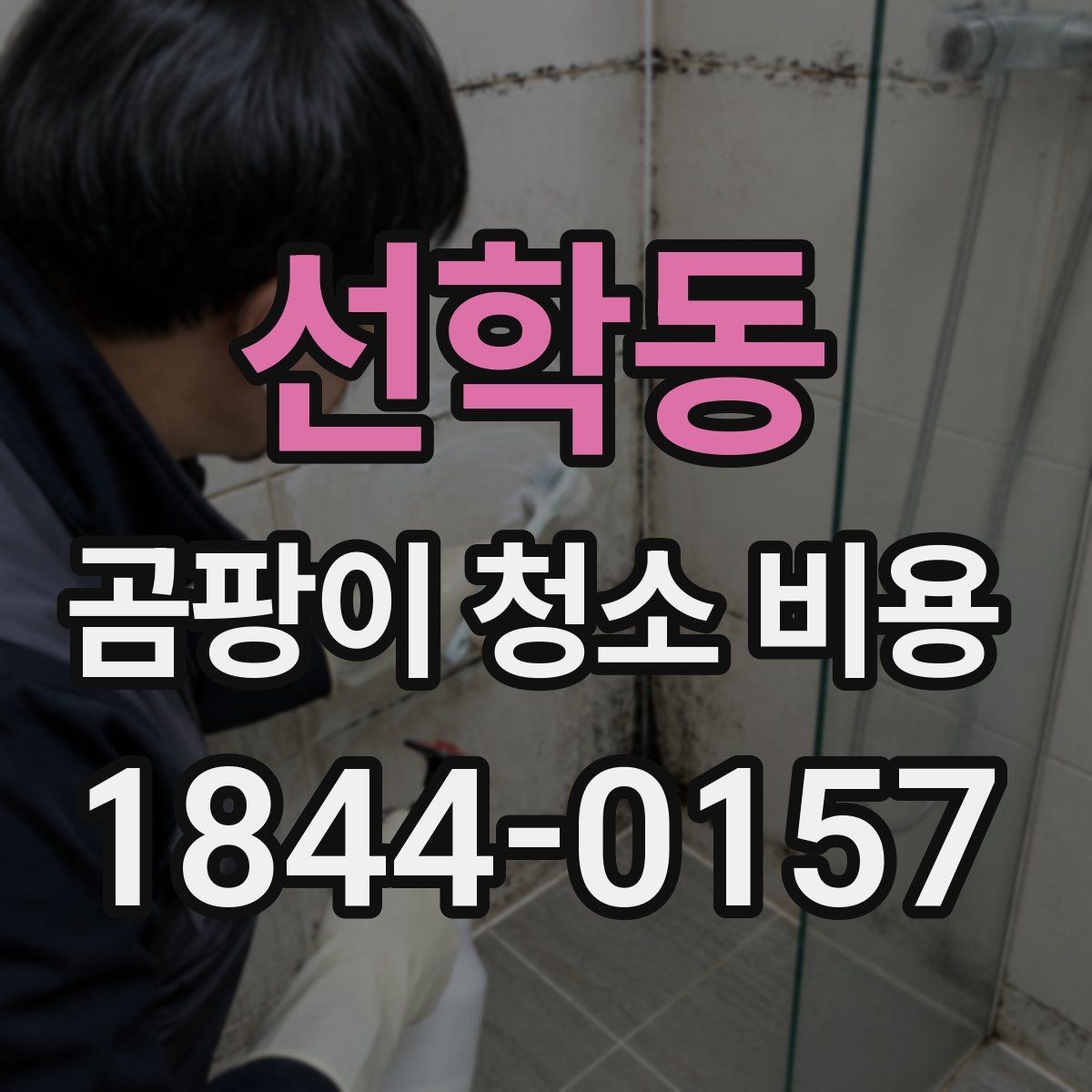 선학동 곰팡이 청소 비용 천장과 몰딩 주변이 더 비싸지는 경우
