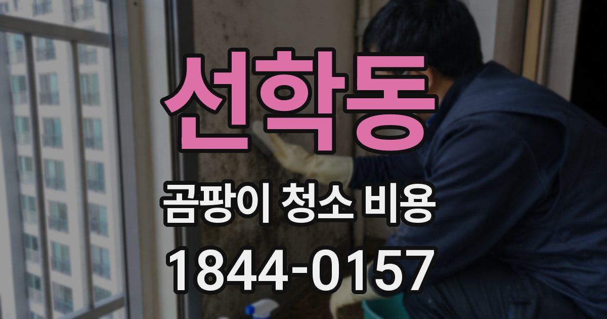 선학동 곰팡이 청소 비용