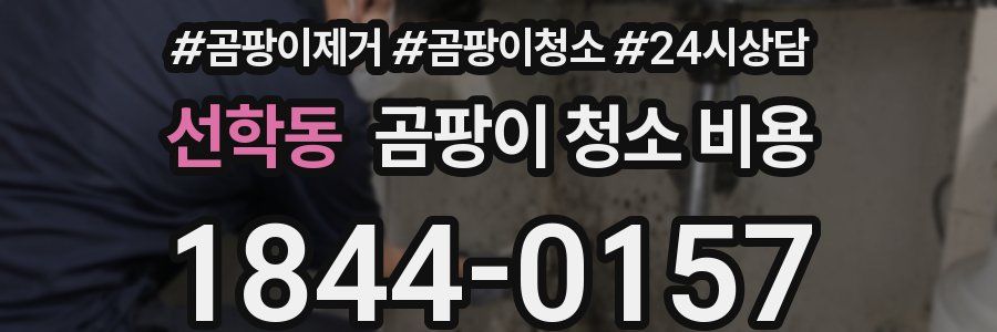 선학동 곰팡이 청소 비용