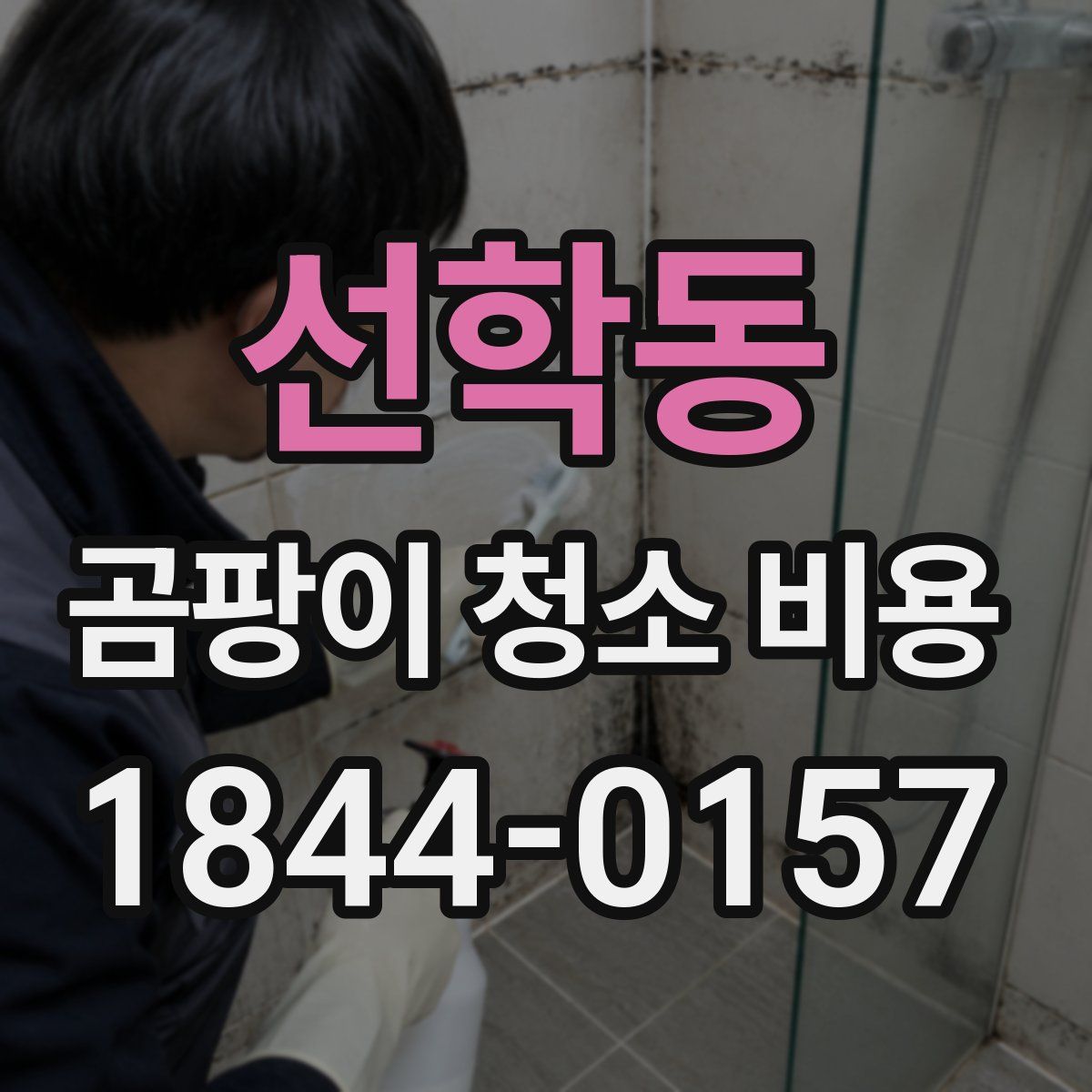 선학동 곰팡이 청소 비용