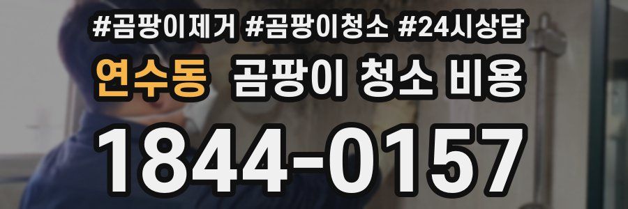 연수동 곰팡이 청소 비용