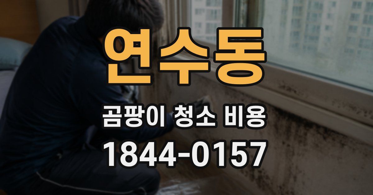연수동 곰팡이 청소 비용