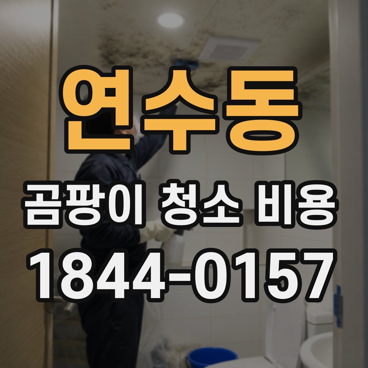 연수동 곰팡이 청소 비용